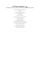 O Profano Feminino.pdf